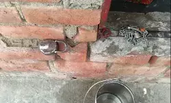 भगवान के घर चोरों का धावा- मंदिर में घुसे चोरों ने दर्जनों घंटे उडाये भगवान के घर चोरों का धावा- मंदिर में घुसे चोरों ने दर्जनों घंटे उडाये