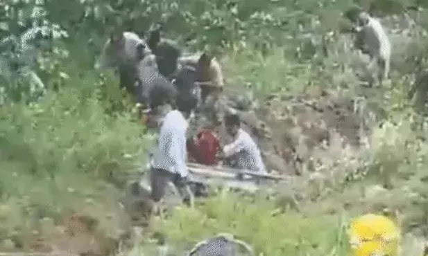21 लोगों को लेकर जा रही मिनी बस खाई में गिरी-मौके पर चीख पुकार