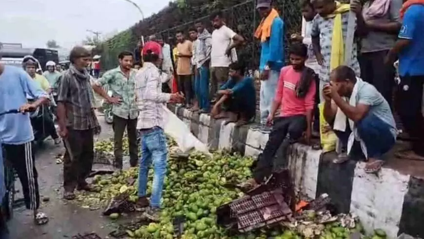 पौ फटते ही सड़क पर आमों की लूट -आपस में ही भिड़ने को तैयार हुए.. पौ फटते ही सड़क पर आमों की लूट -आपस में ही भिड़ने को तैयार हुए..