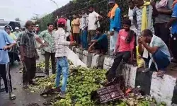 पौ फटते ही सड़क पर आमों की लूट -आपस में ही भिड़ने को तैयार हुए..