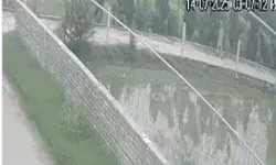 114 साल के एथलीट को मौत के घाट उतार कर भागा NRI लगा हाथ