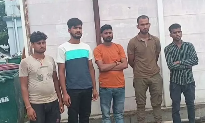खेत में मिर्च तोड़ते दंपति पर मौत का झपट्टा- पति की ऐसे हो गई मौत