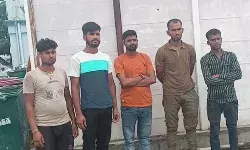 खेत में मिर्च तोड़ते दंपति पर मौत का झपट्टा- पति की ऐसे हो गई मौत खेत में मिर्च तोड़ते दंपति पर मौत का झपट्टा- पति की ऐसे हो गई मौत