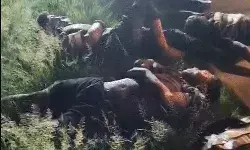 एक्सप्रेस वे पर ट्रक में घुसी कार-पिता व दो बेटों समेत 6 की मौत एक्सप्रेस वे पर ट्रक में घुसी कार-पिता व दो बेटों समेत 6 की मौत