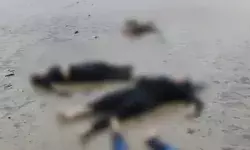 नहाते समय समुद्र की लहरों की चपेट में आई तीन महिलाओं एवं एक पुरुष.. नहाते समय समुद्र की लहरों की चपेट में आई तीन महिलाओं एवं एक पुरुष..