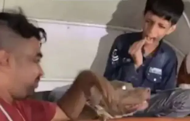 सोहेल का कमीनापन-बच्चे पर छोड़ा पालतू कुत्ता- काटते देख जोर से हंसा