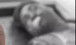 पूर्व सिपाही ने जमीन के लिए बहाया खून- छोटे भाई को मारी गोली पूर्व सिपाही ने जमीन के लिए बहाया खून- छोटे भाई को मारी गोली