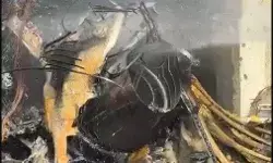 एयरफोर्स का ट्रेनर विमान स्कूल पर गिरा- घायलों को हाथ ठेले पर उठाकर...