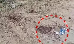 चंदन मिश्रा हत्याकांड- आरोपियों के साथ मुठभेड़- दो को लगी गोली चंदन मिश्रा हत्याकांड- आरोपियों के साथ मुठभेड़- दो को लगी गोली