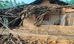 बच्चे के साथ हाथी का तांडव- एक ही रात में 3 लोगों को उतारा मौत के घाट बच्चे के साथ हाथी का तांडव- एक ही रात में 3 लोगों को उतारा मौत के घाट
