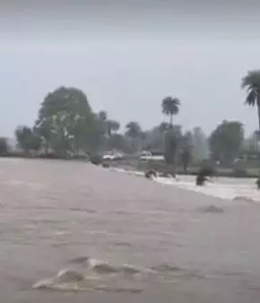 नदी नाले उफान पर- घरों में घुसा पानी- सडकें जलमग्न- स्टेट हाईवे बंद नदी नाले उफान पर- घरों में घुसा पानी- सडकें जलमग्न- स्टेट हाईवे बंद