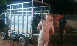 श्रद्धालुओं से भरी पिकअप नहर में समाई- नैना देवी से लौट रहे दो.... श्रद्धालुओं से भरी पिकअप नहर में समाई- नैना देवी से लौट रहे दो....