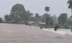 नदी नाले उफान पर- घरों में घुसा पानी- सडकें जलमग्न- स्टेट हाईवे बंद नदी नाले उफान पर- घरों में घुसा पानी- सडकें जलमग्न- स्टेट हाईवे बंद