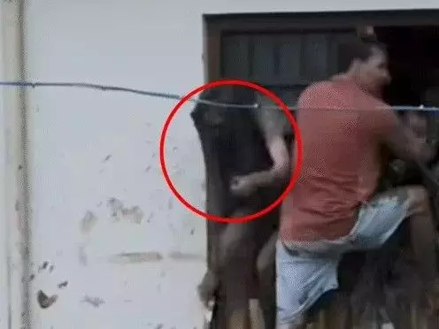 फटे बादल ने मचाई तबाही- तीन की मौत- घरों में घुसा मलबा- गाड़ियां दबी फटे बादल ने मचाई तबाही- तीन की मौत- घरों में घुसा मलबा- गाड़ियां दबी