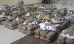 पुलिस की स्पेशल टीम ने जब्त किया 935 किलो गांजा- कीमत 5 करोड़ पुलिस की स्पेशल टीम ने जब्त किया 935 किलो गांजा- कीमत 5 करोड़