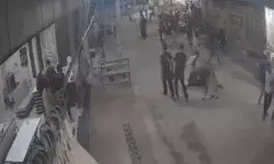 रामदेवरा समाधि दर्शन को आए श्रद्धालु को भागते बैल ने किया मरणासन्न रामदेवरा समाधि दर्शन को आए श्रद्धालु को भागते बैल ने किया मरणासन्न