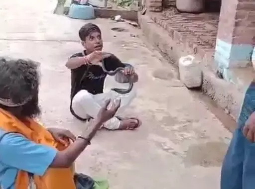 ट्रेंडिंग में आने के लिए गले में सांप डालकर बनाई REEL- डंसने से.. ट्रेंडिंग में आने के लिए गले में सांप डालकर बनाई REEL- डंसने से..