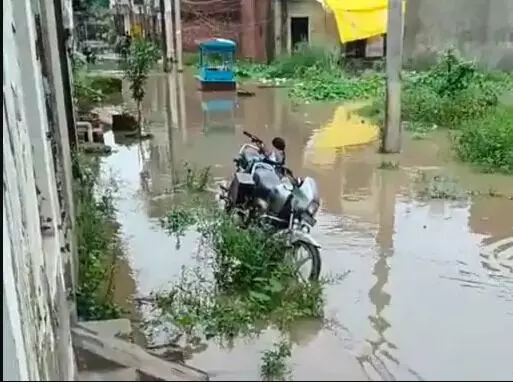 अब पांवधोई नदी में आया उफान- सडक मकानों में घुसा पानी अब पांवधोई नदी में आया उफान- सडक मकानों में घुसा पानी
