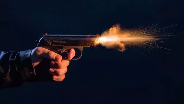 जमीनी विवाद में बड़े भाई ने छोटे भाई को मारी गोली- परिजनों में कोहराम