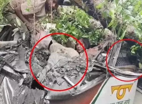 चलती रोडवेज बस पर गिरा पेड़-तीन महिला टीचर्स समेत 4 की मौत