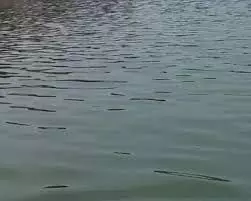 दो सगी बहनो के यमुना नदी में डूबने से मचा हड़कंप दो सगी बहनो के यमुना नदी में डूबने से मचा हड़कंप