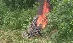 बाग की घेराबंदी- छिपे बैठे संदिग्ध पकड़कर पुलिस को सौंपे- बाईक में आग बाग की घेराबंदी- छिपे बैठे संदिग्ध पकड़कर पुलिस को सौंपे- बाईक में आग