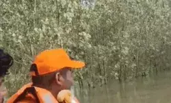 बाढ़ के पानी में बहे युवक को पेड़ का सहारा- 22 घंटे संघर्ष के बाद.... बाढ़ के पानी में बहे युवक को पेड़ का सहारा- 22 घंटे संघर्ष के बाद....