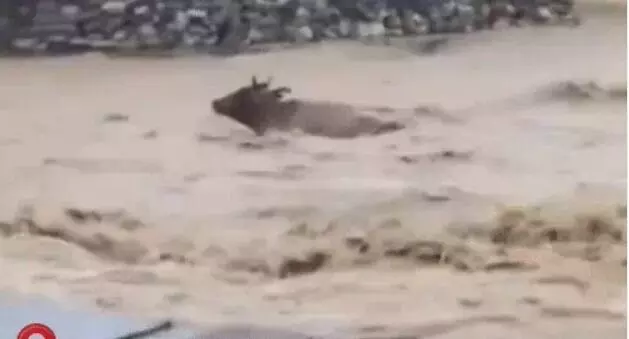 शिक्षा पर पड़ी बारिश की मार- कर दिए 12वीं तक के स्कूल बंद शिक्षा पर पड़ी बारिश की मार- कर दिए 12वीं तक के स्कूल बंद