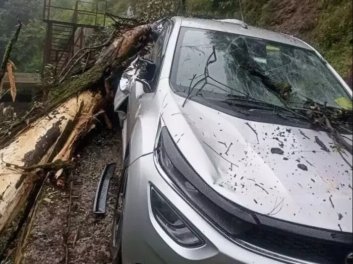 लैंडस्लाइड में दबी कई गाड़ियां- बंद रहे फोरलेन की सड़क वन वे बहाल लैंडस्लाइड में दबी कई गाड़ियां- बंद रहे फोरलेन की सड़क वन वे बहाल