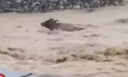 शिक्षा पर पड़ी बारिश की मार- कर दिए 12वीं तक के स्कूल बंद शिक्षा पर पड़ी बारिश की मार- कर दिए 12वीं तक के स्कूल बंद