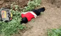 युवती का मर्डर कर रेलवे यार्ड के पास फेंका- मुंह में ठूंसा कपड़ा युवती का मर्डर कर रेलवे यार्ड के पास फेंका- मुंह में ठूंसा कपड़ा