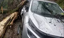 लैंडस्लाइड में दबी कई गाड़ियां- बंद रहे फोरलेन की सड़क वन वे बहाल