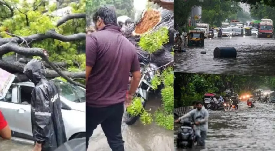 मूसलाधार बारिश का कहर- पेड़ गिरने के हादसे में एक की मौत- जगह जगह..