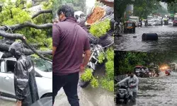 मूसलाधार बारिश का कहर- पेड़ गिरने के हादसे में एक की मौत- जगह जगह.. मूसलाधार बारिश का कहर- पेड़ गिरने के हादसे में एक की मौत- जगह जगह..