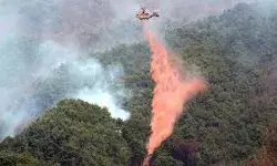 जंगल की आग बुझाते समय हेलीकॉप्टर हुआ दुर्घटनाग्रस्त जंगल की आग बुझाते समय हेलीकॉप्टर हुआ दुर्घटनाग्रस्त