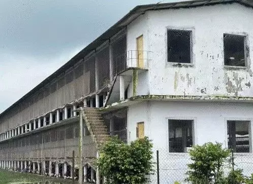 पोल्ट्री फार्म समेत चिकन की दुकानें बंद- जिंदा दफन की 50000 मुर्गियां