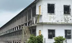 पोल्ट्री फार्म समेत चिकन की दुकानें बंद- जिंदा दफन की 50000 मुर्गियां पोल्ट्री फार्म समेत चिकन की दुकानें बंद- जिंदा दफन की 50000 मुर्गियां