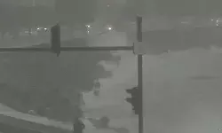 बारिश का कहर जारी- लगातार तीसरे दिन मुंबई में स्कूल कॉलेज दफ्तर बंद बारिश का कहर जारी- लगातार तीसरे दिन मुंबई में स्कूल कॉलेज दफ्तर बंद