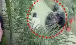 प्रॉपर्टी डीलर को दिनदहाड़े गोलियों से भूना-शूटरों ने गर्दन कनपटी पर.. प्रॉपर्टी डीलर को दिनदहाड़े गोलियों से भूना-शूटरों ने गर्दन कनपटी पर..