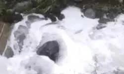 25 मिनट तक नाले में बही दूध की नदी- 2000 लीटर दूध नाले में फेंका 25 मिनट तक नाले में बही दूध की नदी- 2000 लीटर दूध नाले में फेंका