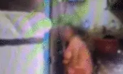 सफाई के बाद मेड ने अपना पेशाब छिड़ककर किया बर्तनों का शुद्धिकरण