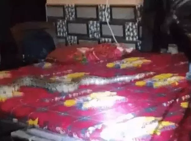 करवट बदलते समय तकिए के बजाय मिला अजगर- लाइट में देखते ही युवक.. करवट बदलते समय तकिए के बजाय मिला अजगर- लाइट में देखते ही युवक..