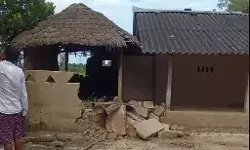 नेपाल से आए जंगली हाथियों का तांडव- मकान की दीवार तोड़ी- धान की फसल..