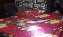 करवट बदलते समय तकिए के बजाय मिला अजगर- लाइट में देखते ही युवक.. करवट बदलते समय तकिए के बजाय मिला अजगर- लाइट में देखते ही युवक..