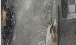 सामने आए बाइक सवार को सांडों ने सींगों पर उछालकर फेंका- नीचे गिरने से.. सामने आए बाइक सवार को सांडों ने सींगों पर उछालकर फेंका- नीचे गिरने से..