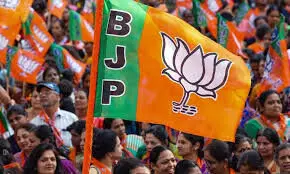 कांग्रेस गली-गली वाली नहीं गाली वाली पार्टी बन गई है- भाजपा कांग्रेस गली-गली वाली नहीं गाली वाली पार्टी बन गई है- भाजपा