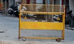 वन मंत्री की भतीजी और पति की हत्या कर जलाई लाश- मौके से हथौड़ा भी..