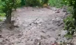 फिर फटा बादल तो इतने लोगों ने गंवा दी अपनी जिंदगी 5 की जान पर आफत फिर फटा बादल तो इतने लोगों ने गंवा दी अपनी जिंदगी 5 की जान पर आफत