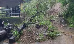 भूस्खलन से बाप बेटी समेत तीन की मौत- शिक्षण संस्थान किए गए बंद भूस्खलन से बाप बेटी समेत तीन की मौत- शिक्षण संस्थान किए गए बंद