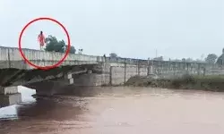 पुल पर चढ़े व्यक्ति ने घग्गर नदी में लगाई छलांग- कुछ देर मारे हाथ.... पुल पर चढ़े व्यक्ति ने घग्गर नदी में लगाई छलांग- कुछ देर मारे हाथ....